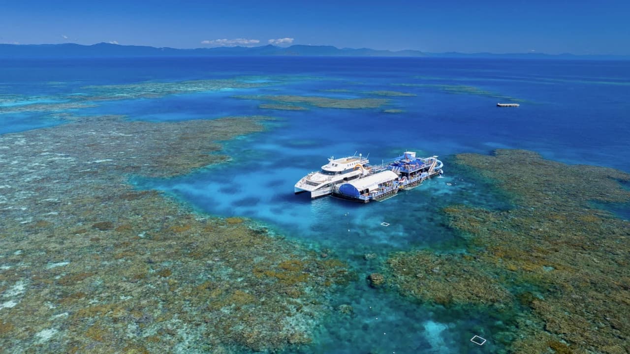 Great Barrier Reef Pontoon Full-Day Tour at Moore Reef - Photo 2