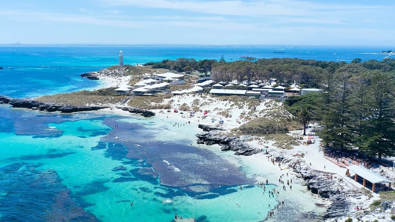 Rottnest Island Bayseeker Bus Tour with Round Trip SeaLink Ferry Transfer - Photo 4