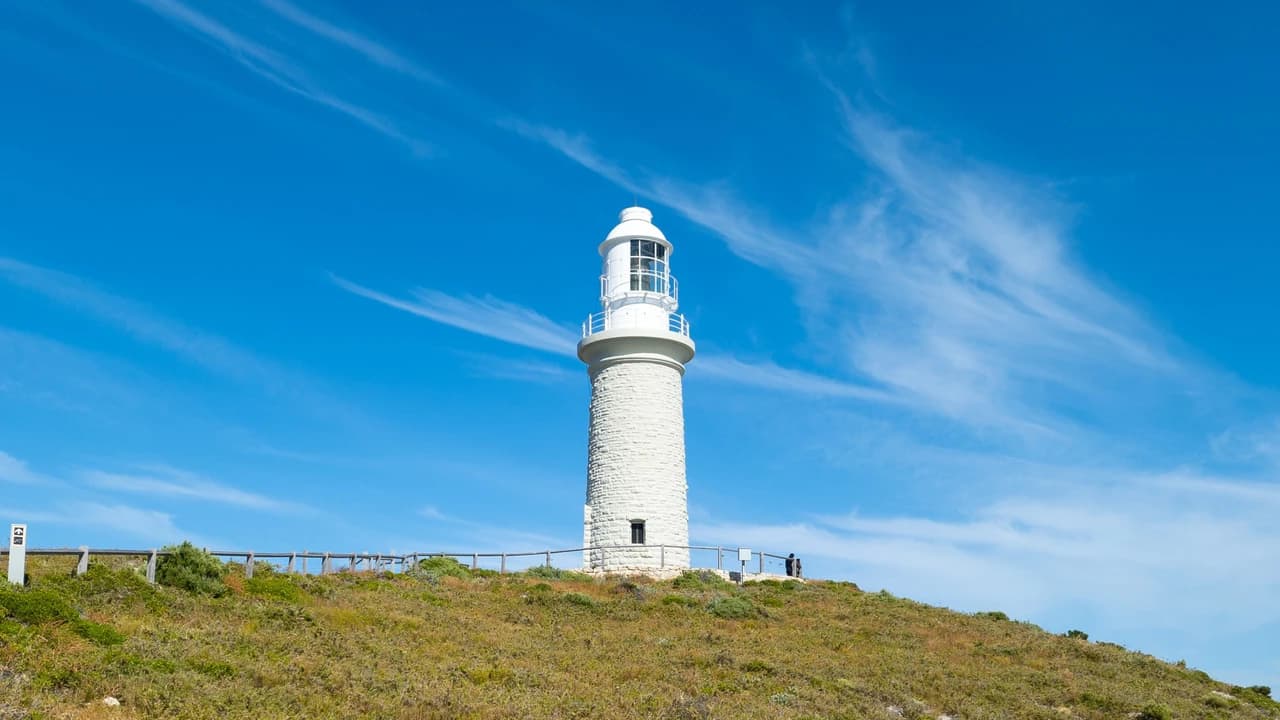 Rottnest Island Bayseeker Bus Tour with Round Trip SeaLink Ferry Transfer - image 7