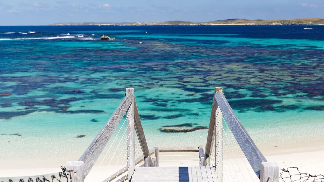 Round Trip SeaLink Ferry to Rottnest Island - Photo 2