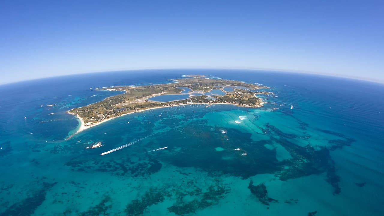 Round Trip SeaLink Ferry to Rottnest Island - image 6