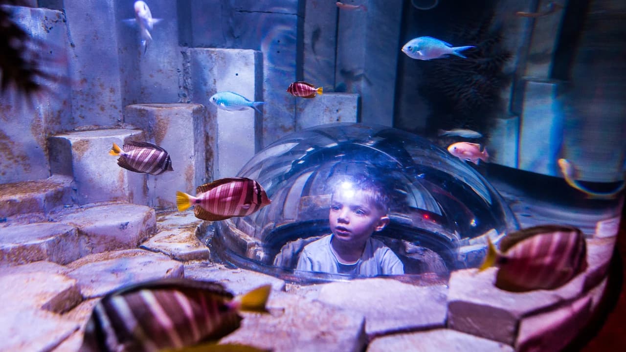 COMBO: Melbourne Skydeck + SEA LIFE Melbourne Aquarium Tickets - image 8
