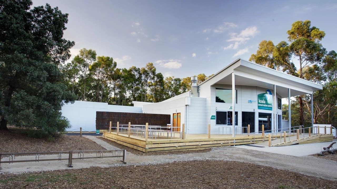 Phillip Island Nature Parks - Koala Conservation Reserve Ticket - image 6