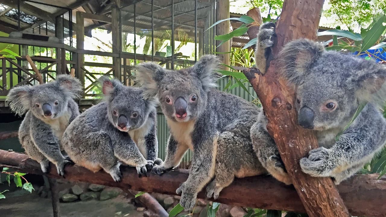 Rainforestation Nature Park Experiences - Photo 3