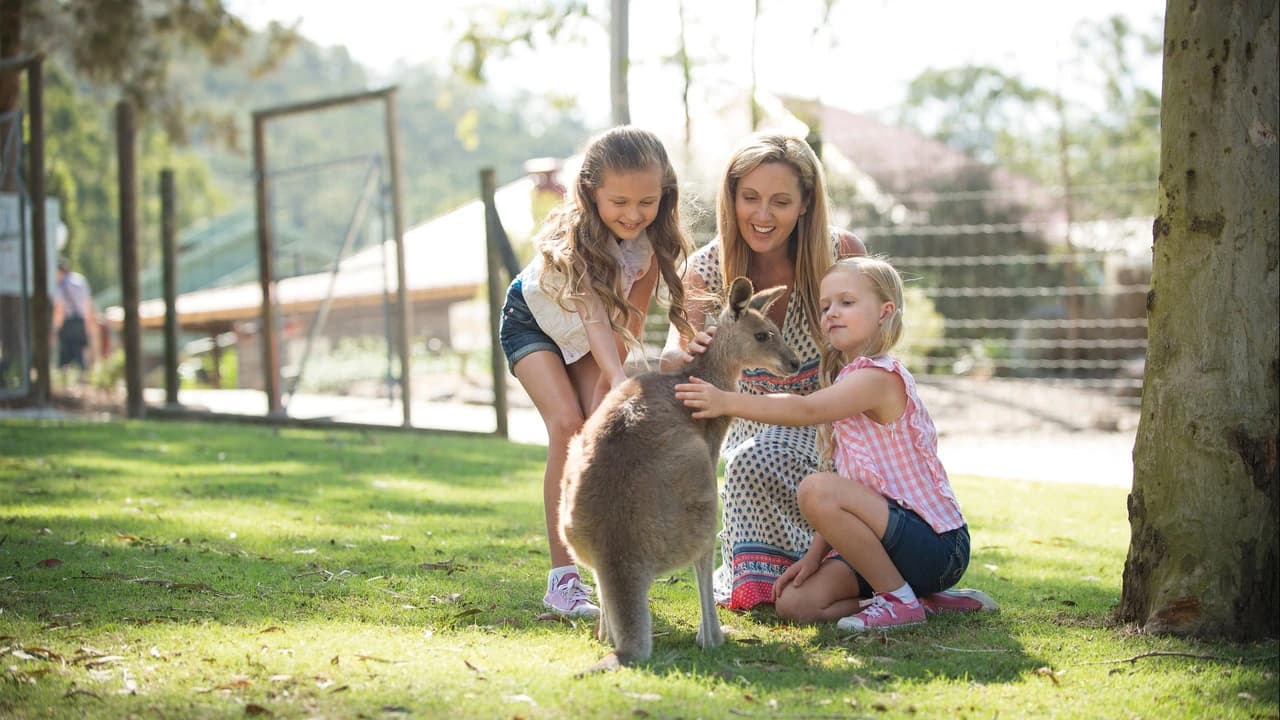 Paradise Country Farm Ticket - Photo 4