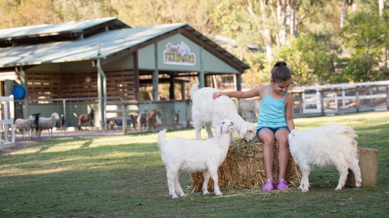 Paradise Country Farm Ticket - Photo 5