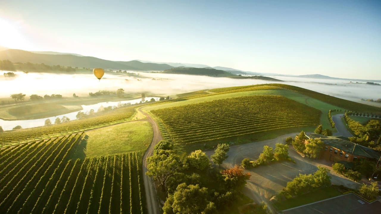 Sunrise Hot Air Balloon Flight over Yarra Valley with Photos - Photo 4