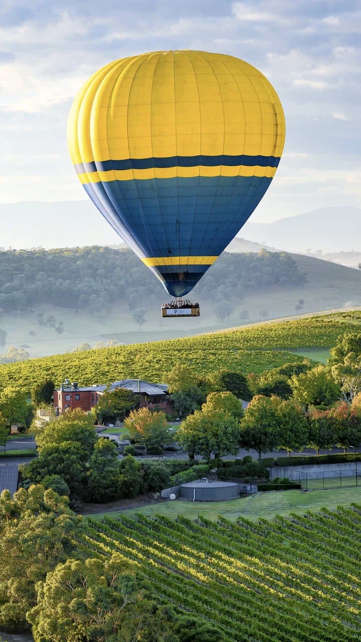 Sunrise Hot Air Balloon Flight over Yarra Valley with Photos - image 8