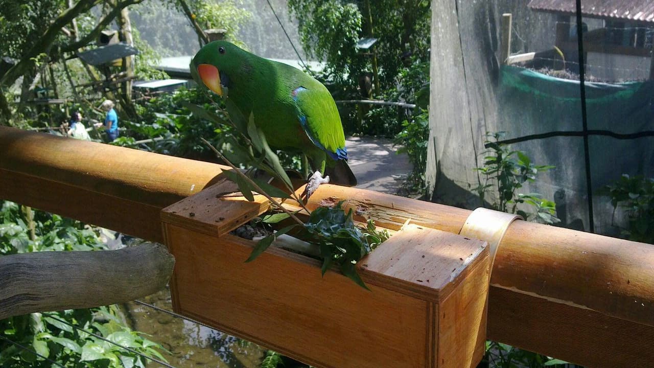 Birdworld Kuranda - Photo 5