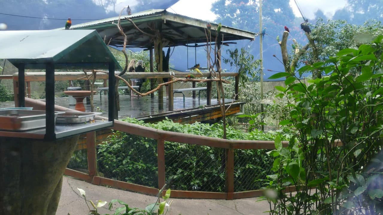 Birdworld Kuranda - image 7