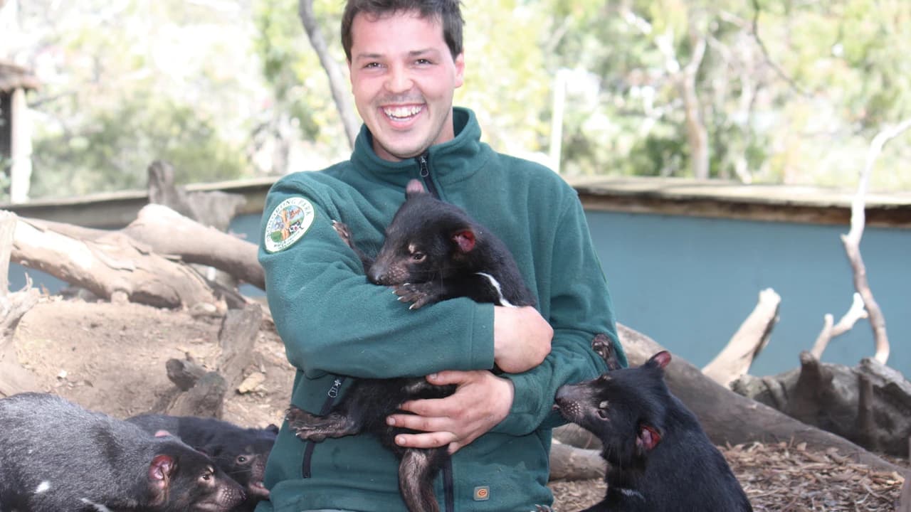 Bonorong Wildlife Sanctuary and Hobart City Tour - Photo 1