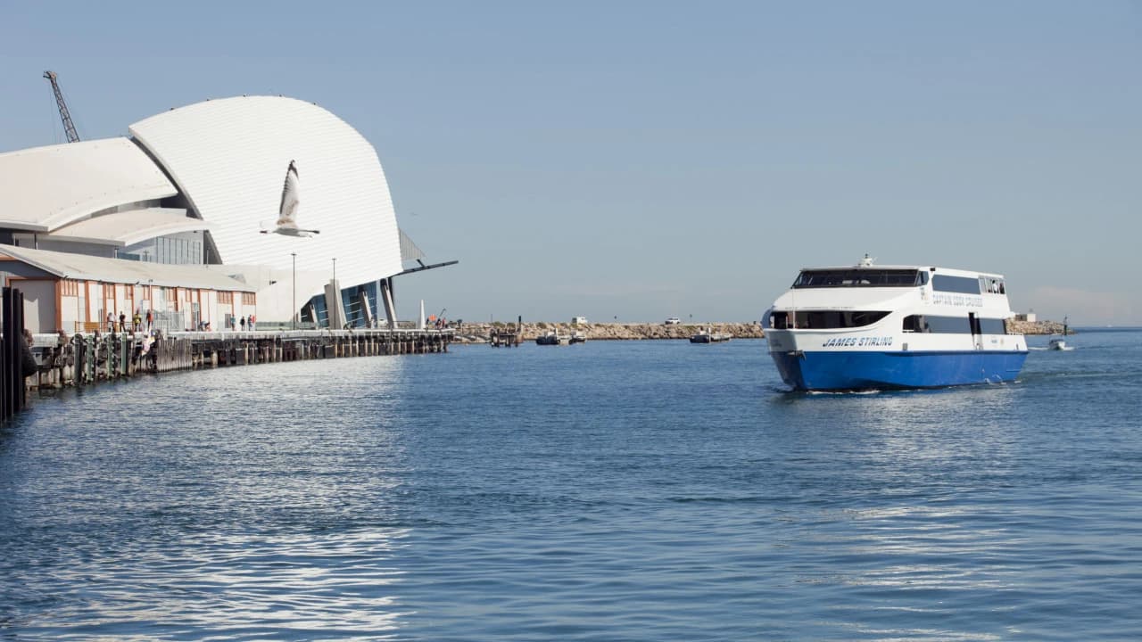 Captain Cook Cruises - Swan River Lunch Cruise - Photo 5