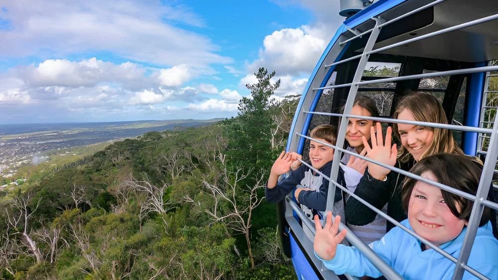 Arthur’s Seat Eagle Cable Car Ride Over the Mornington Peninsula - image 6