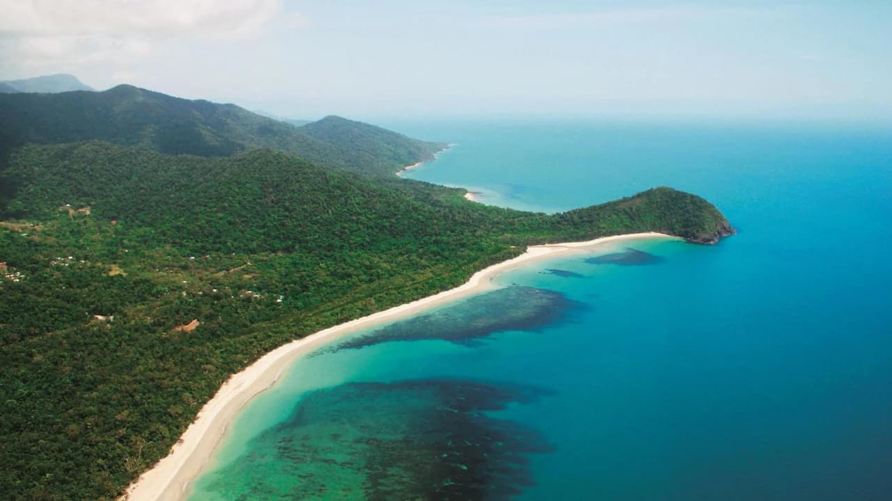 Cape Tribulation and Daintree Wilderness Full-Day Tour - image 8