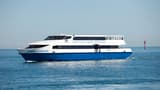 Captain Cook Cruises - Between Perth and Fremantle Scenic Cruise - image 7