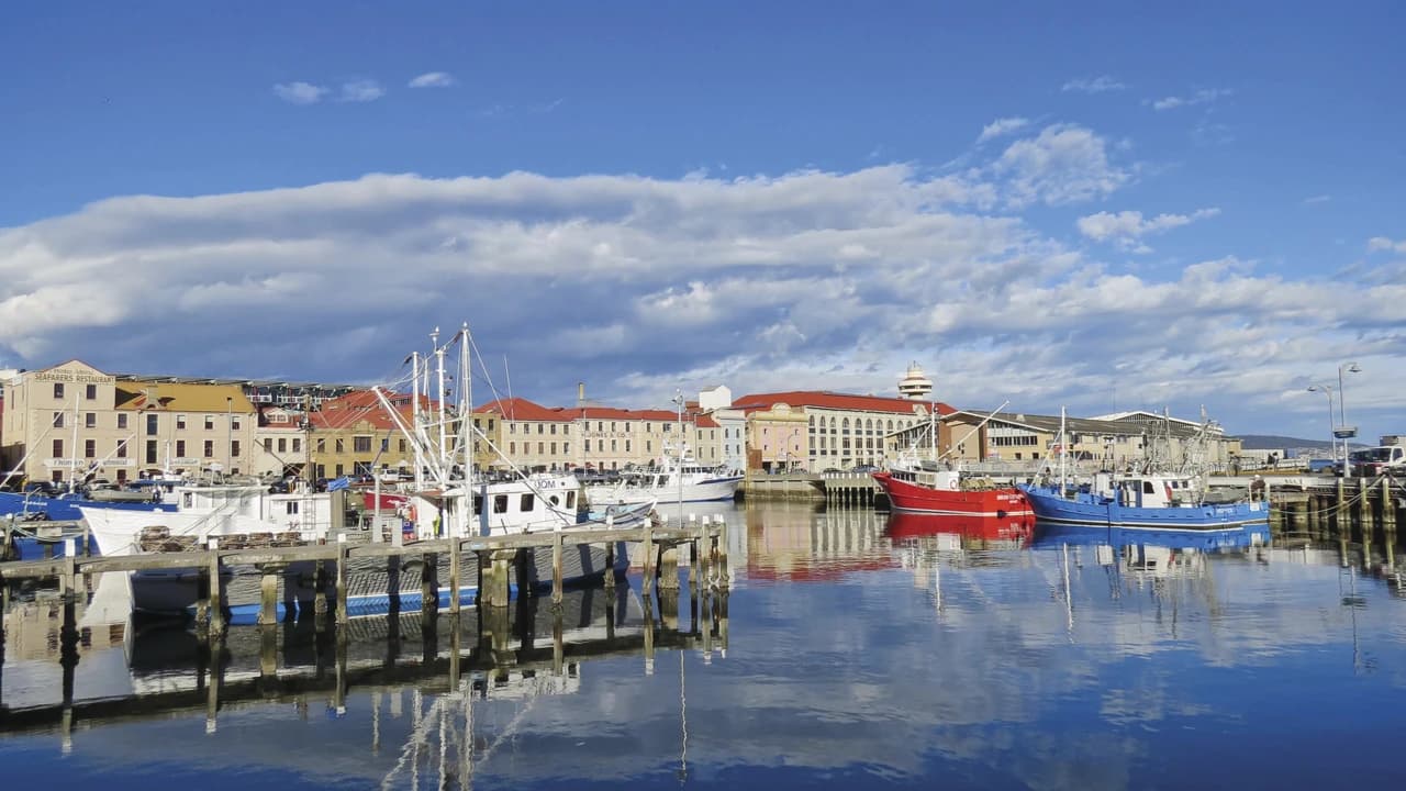Mount Wellington and Hobart City Tour - Photo 2