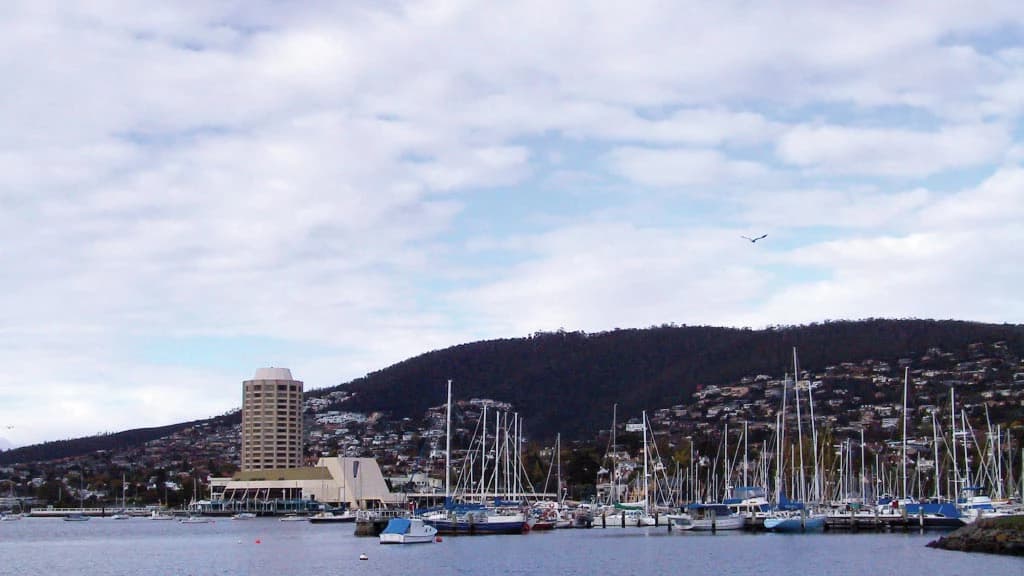 Mount Wellington and Hobart City Tour - image 7
