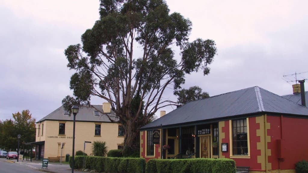 Mount Wellington and Hobart City Tour - image 8