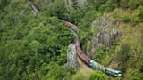 Full-Day Kuranda Tour with Skyrail Rainforest Cableway and Kuranda Scenic Railway - image 6