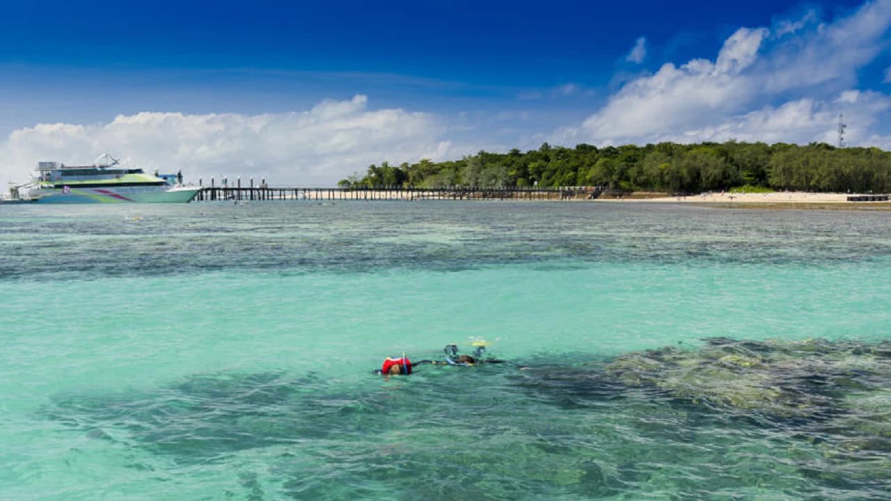 Green Island Great Barrier Reef Half Day Tour from Cairns - Photo 1
