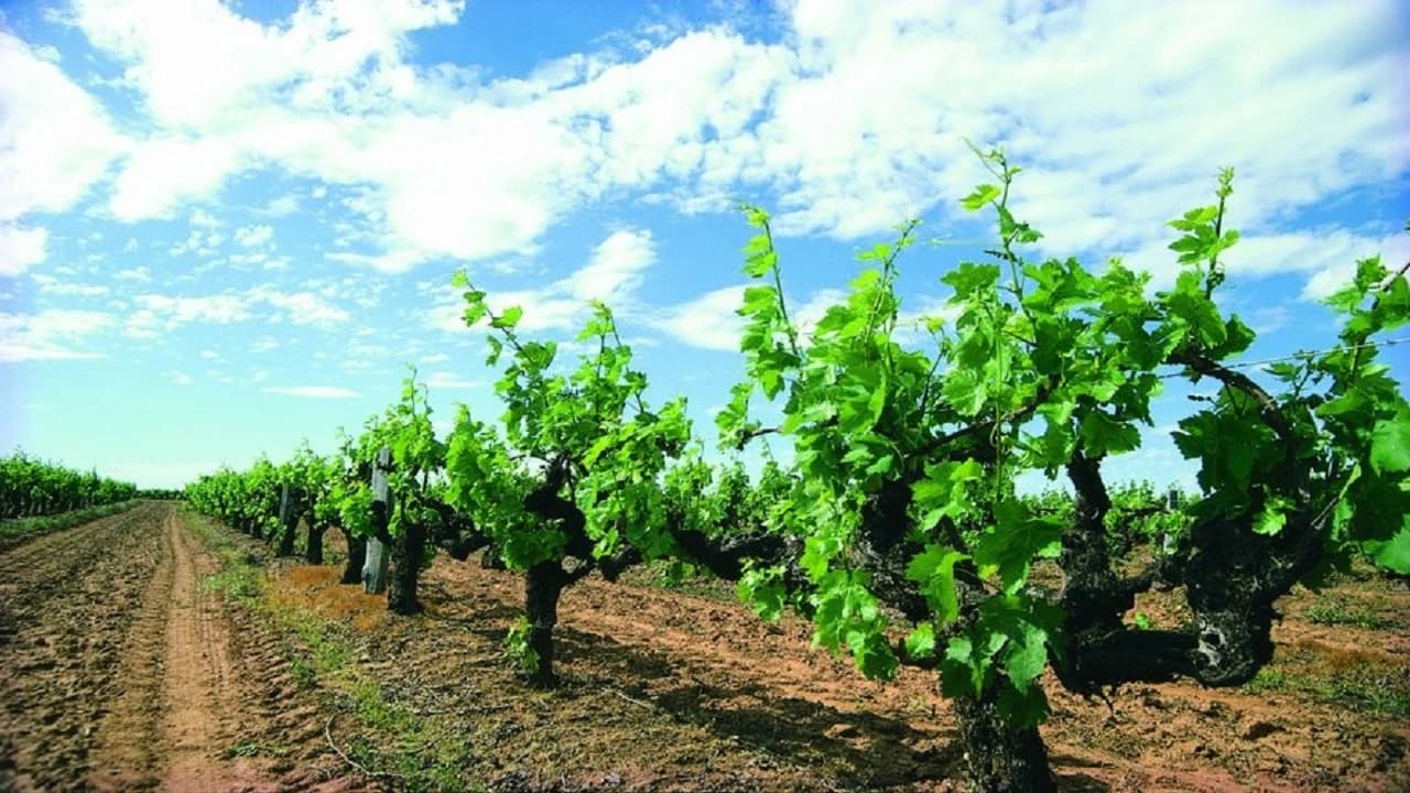 Margaret River Beer Tasting Tour from Perth - Photo 4