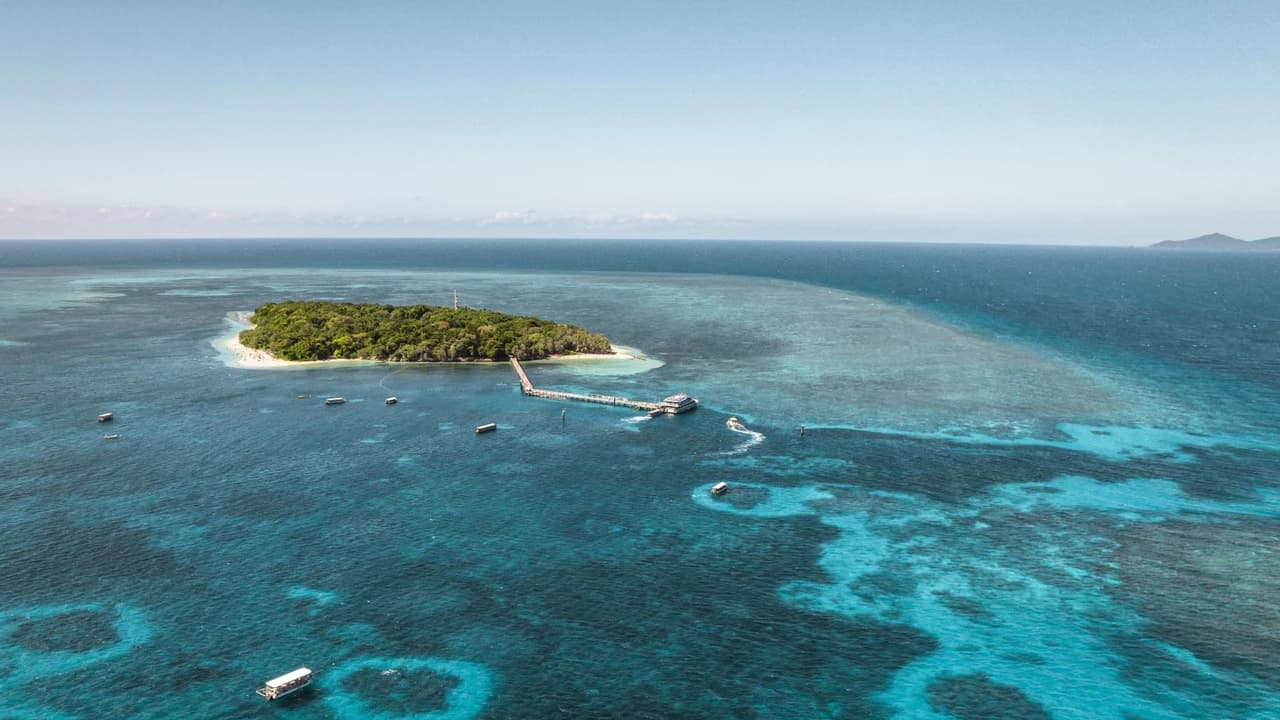 Green Island Great Barrier Reef Half Day Tour from Cairns - Photo 2