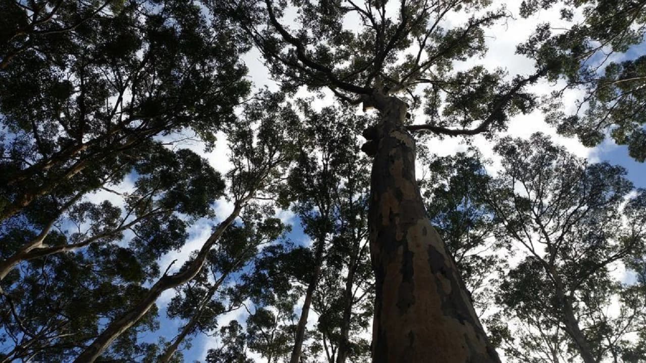 Margaret River Beer Tasting Tour from Perth - Photo 5