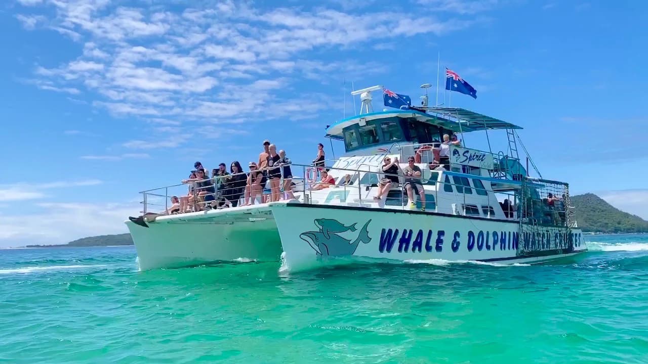 Port Stephens Dolphin Discovery Cruise - Photo 3