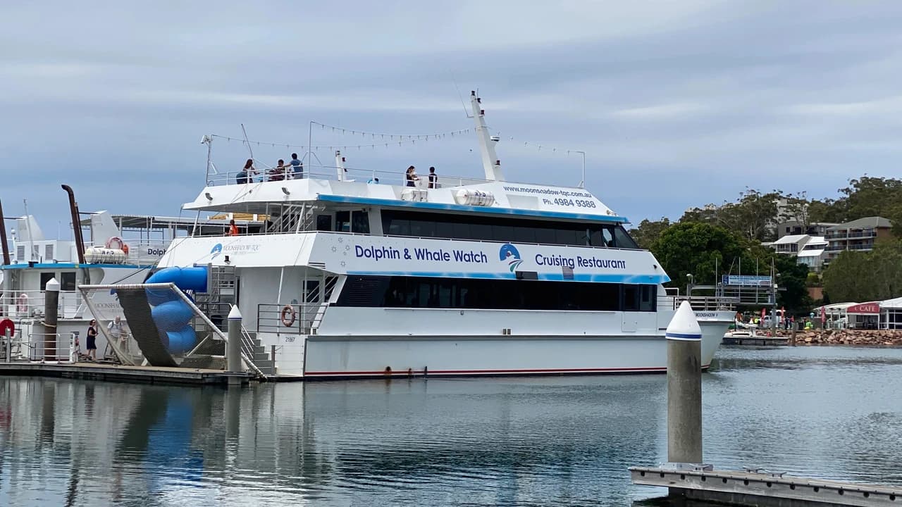 Port Stephens Dolphin Discovery Cruise - Photo 4