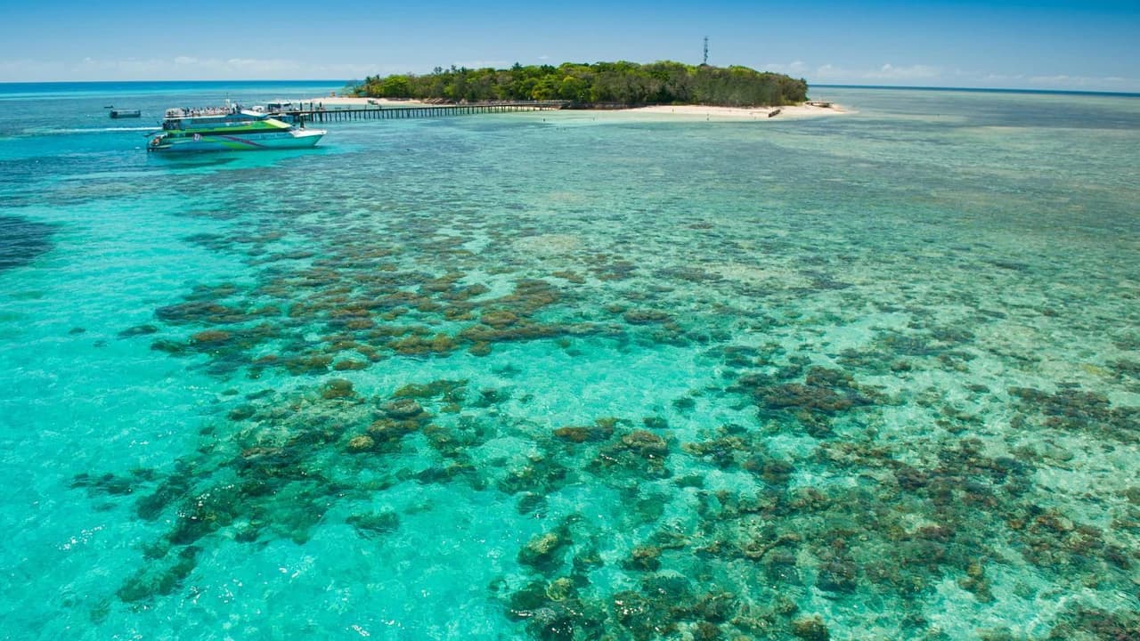 Green Island Reef Full-Day Cruise - Photo 5