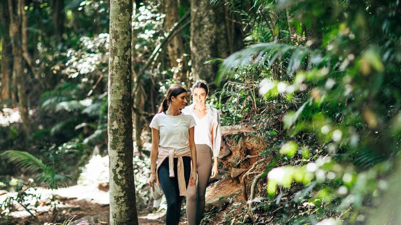 Tamborine Mountain Guided Walk and Wine Tasting Tour - Photo 1