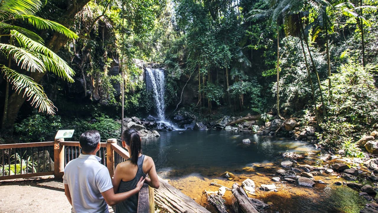 Tamborine Mountain Guided Walk and Wine Tasting Tour - image 6