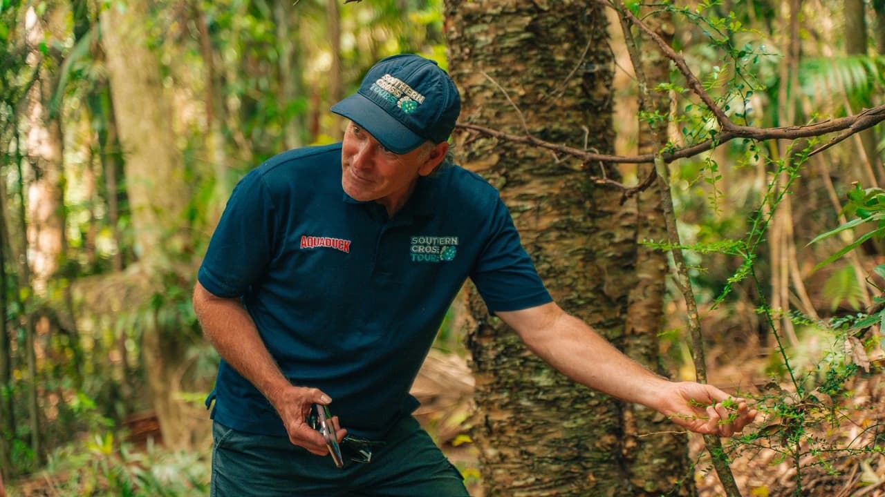 Tamborine Mountain Guided Walk and Wine Tasting Tour - image 7