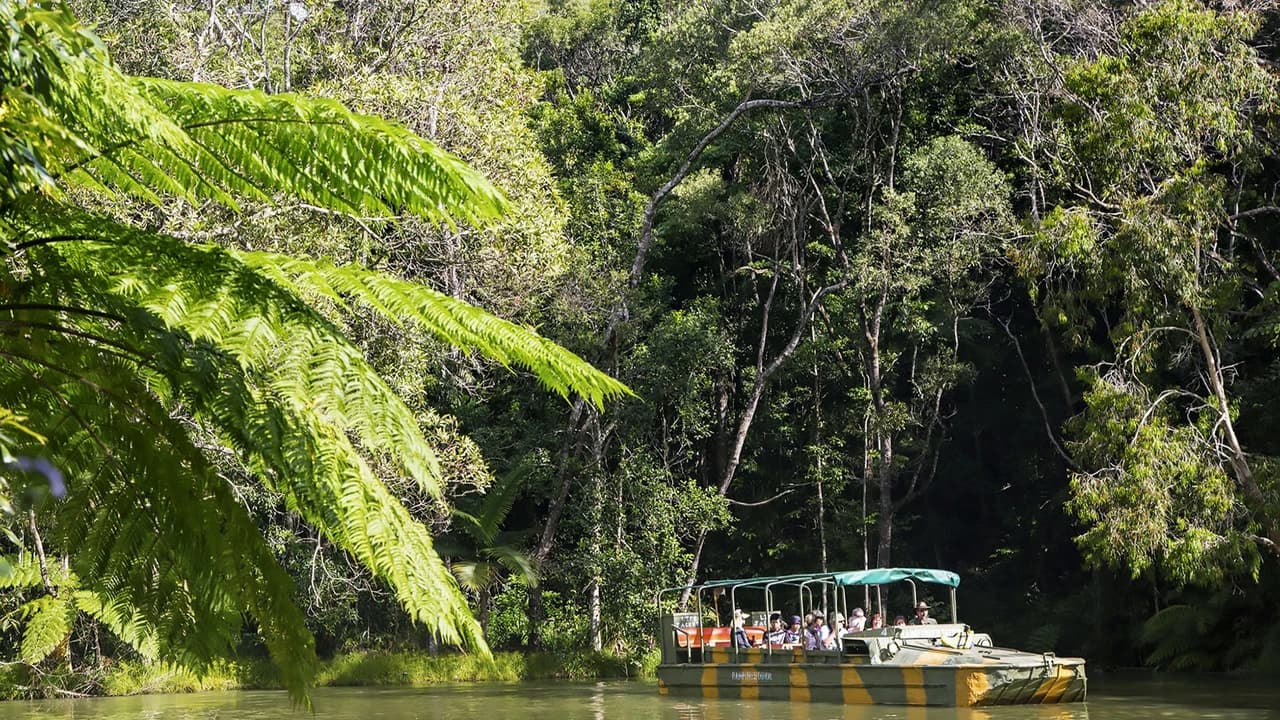 Full-Day Kuranda Tour with Skyrail Cableway, Scenic Railway and Rainforestation - image 8