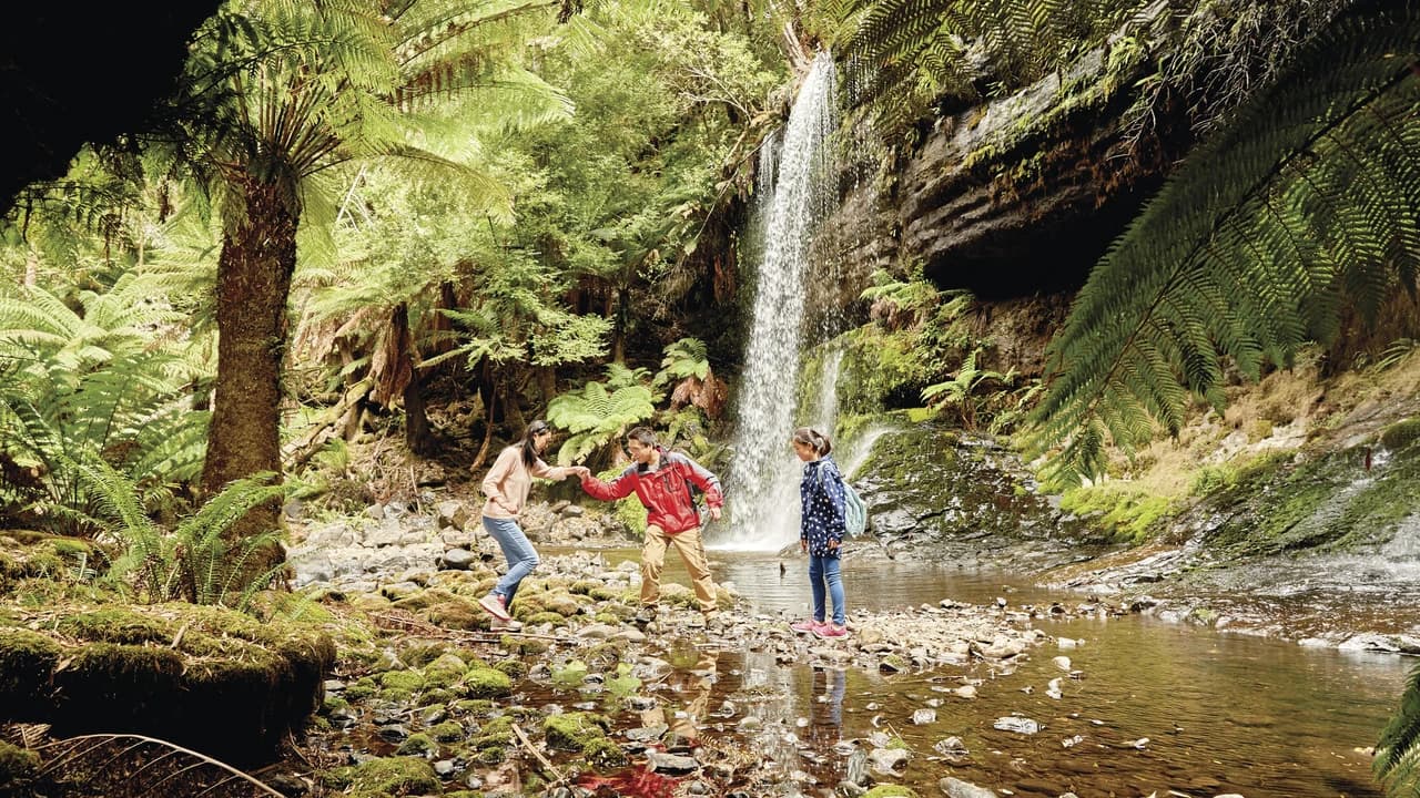 Russell Falls Tour from Hobart - Photo 1