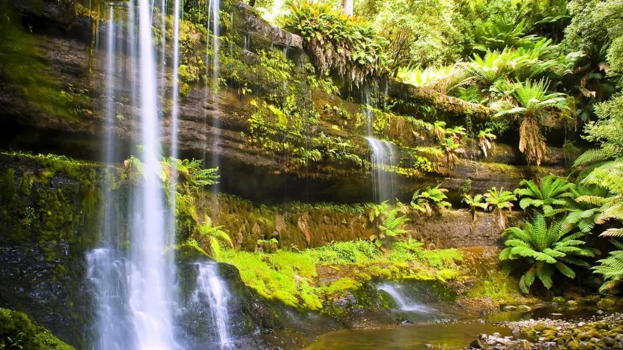 Russell Falls Tour from Hobart - Photo 2