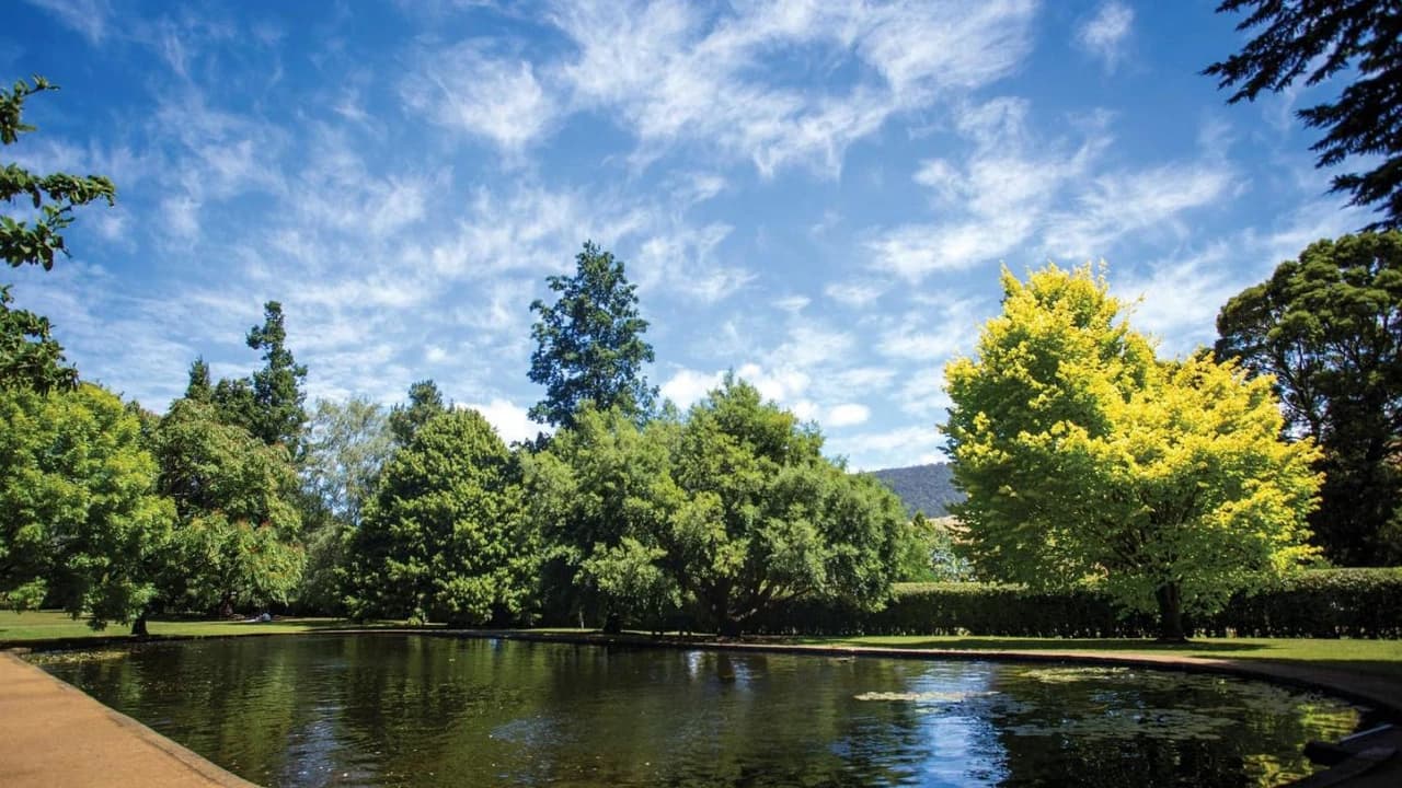 Russell Falls Tour from Hobart - Photo 4
