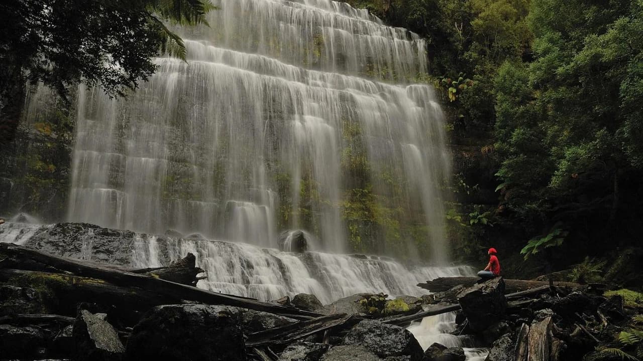 Russell Falls Tour from Hobart - image 8