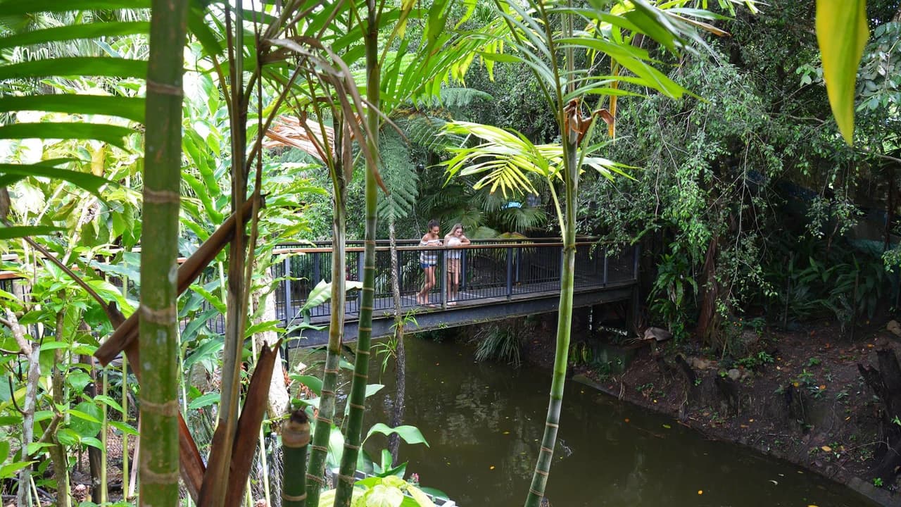 Kuranda Koala Gardens - Photo 5
