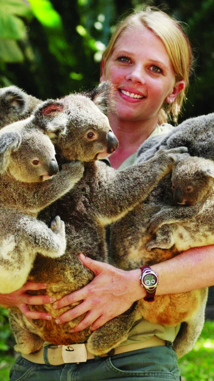 Kuranda Koala Gardens - image 7