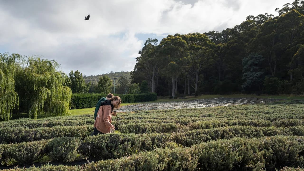 Port Arthur Historic Site & Tasman Peninsula Tour from Hobart - Photo 4