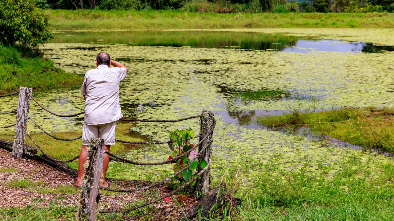 Australian Outback Food and Wine Tasting Tour from Cairns and Northern Beaches - image 8