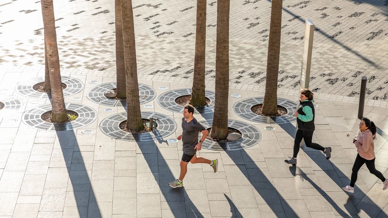 Sydney Harbour Running Tour - image 6