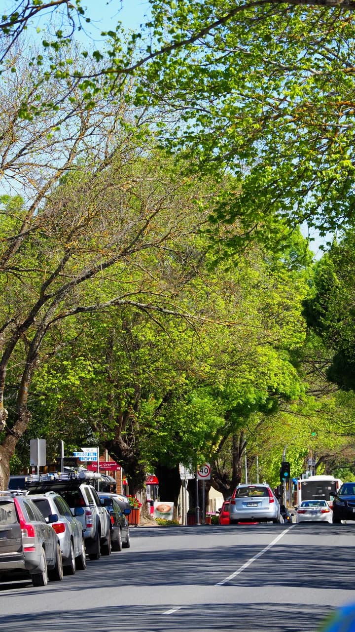 Adelaide Hills and Hahndorf Tour - Photo 3