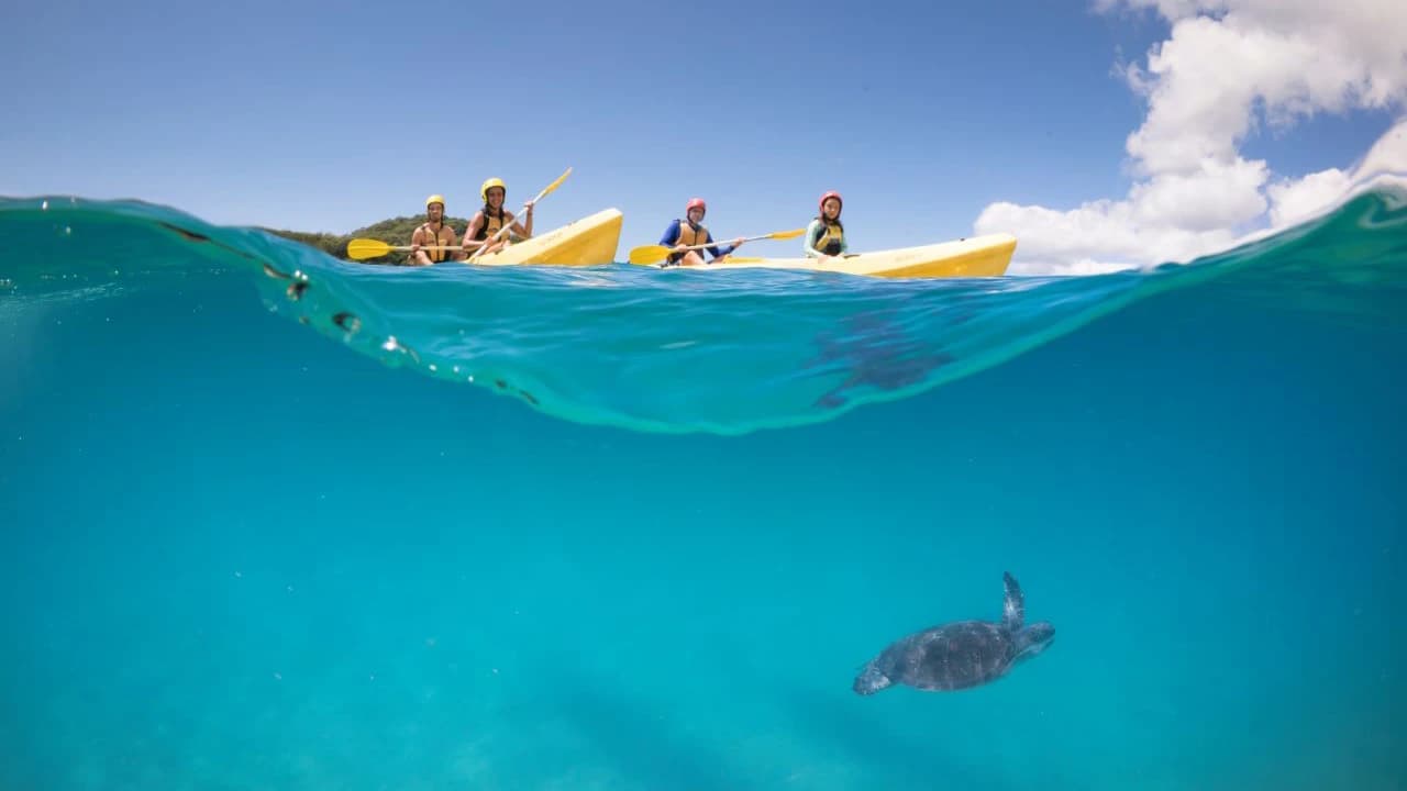 Byron Bay Kayaking Experience with Dolphins - Photo 2