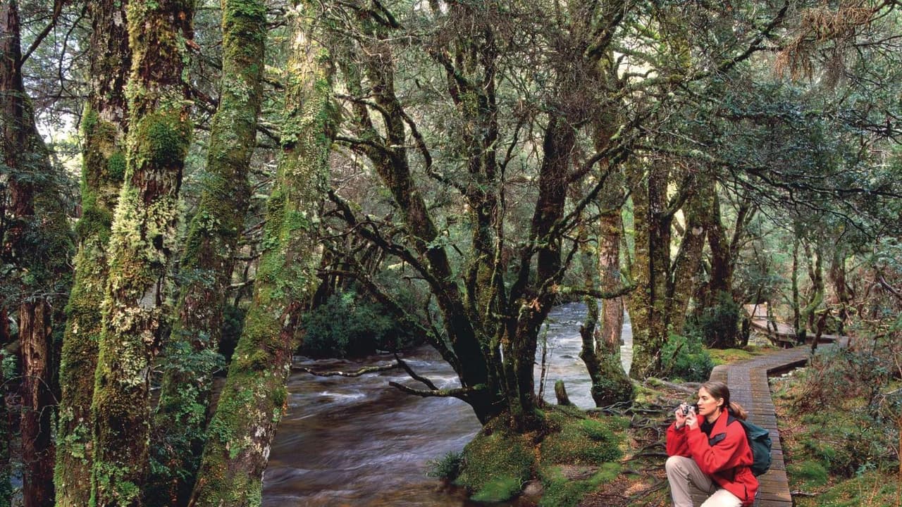 Cradle Mountain National Park - image 6