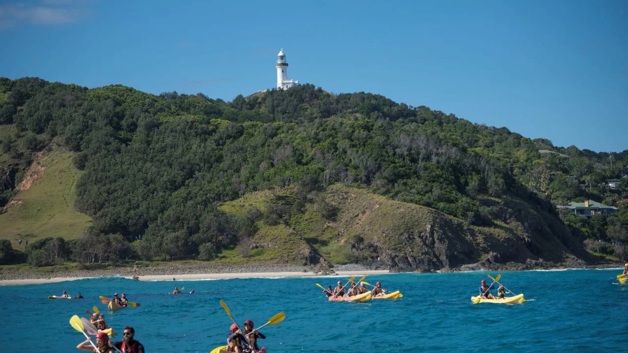 Byron Bay Kayaking Experience with Dolphins - image 7