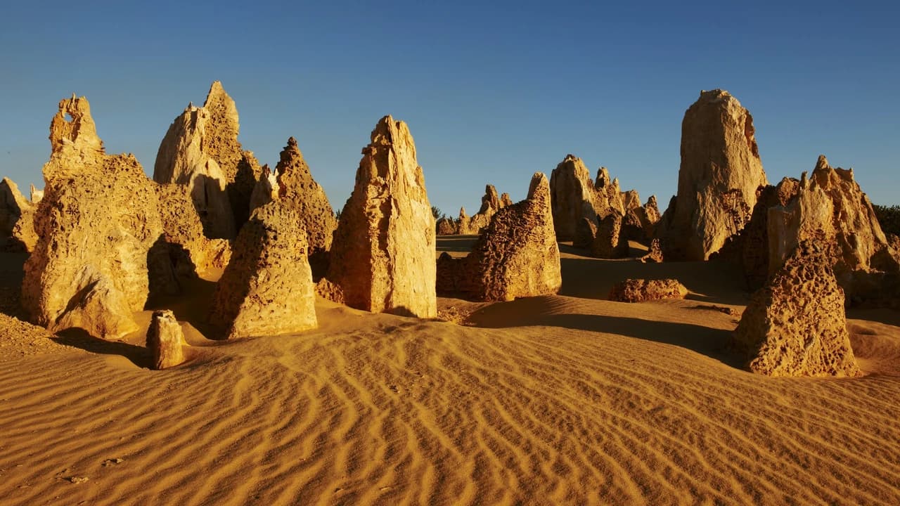 Pinnacles Desert Sunset and Stargazing Tour from Perth - Photo 3