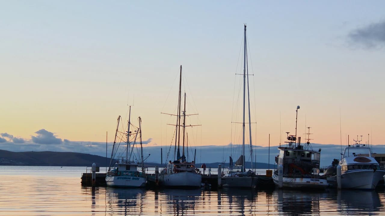 Sullivan's Cove and Hobart City Tour - Photo 1
