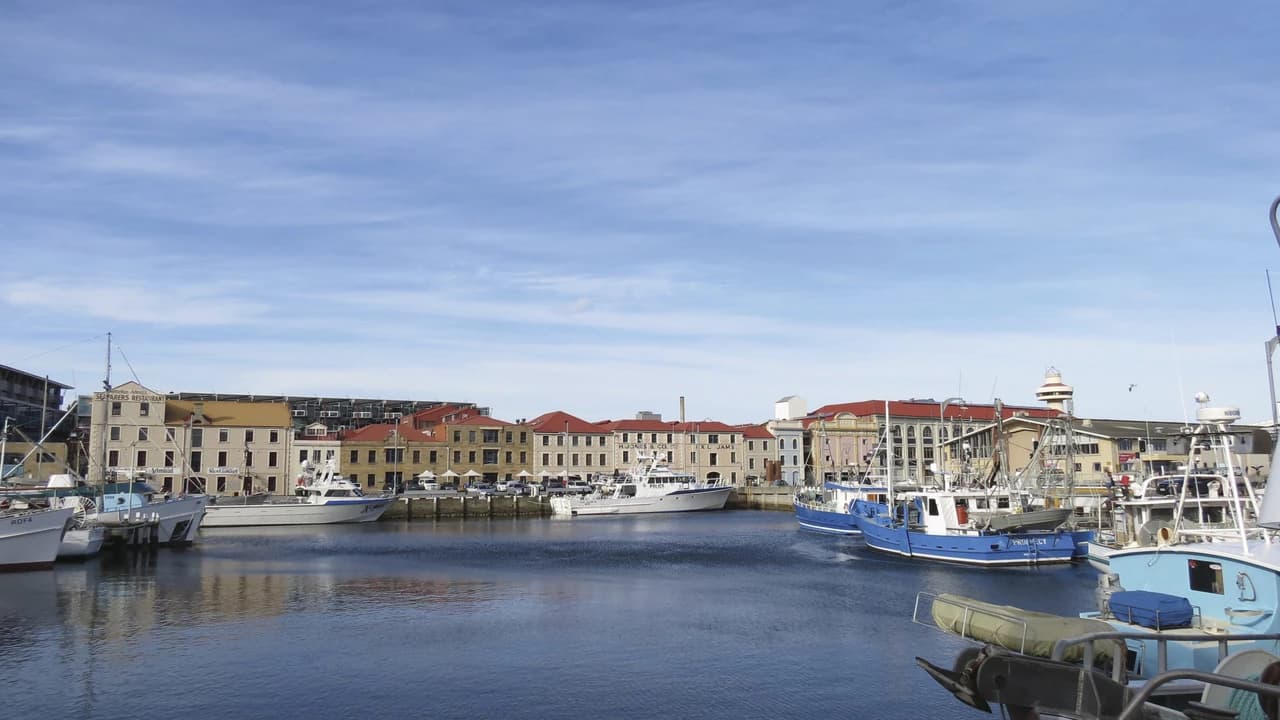 Sullivan's Cove and Hobart City Tour - image 7